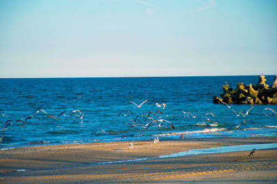 Scenic view of sea against clear sky