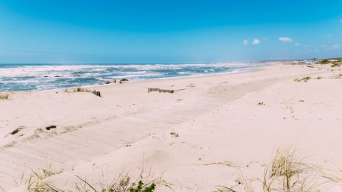 Scenic view of beach against blue sky