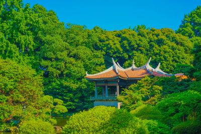 Trees and houses