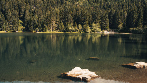 Mountain lake in trentino alto adige during summer