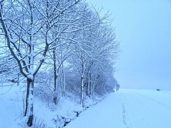 Snow covered field