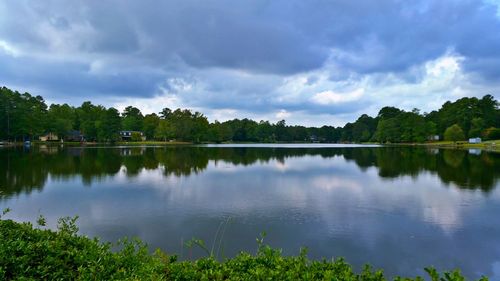 Scenic shot of reflection of plants in calm lake