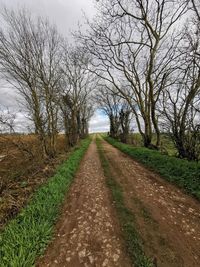 Road amidst bare trees on field against sky