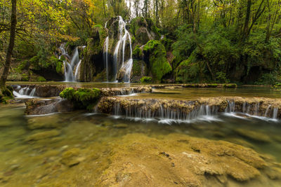 Scenic view of waterfall in forest