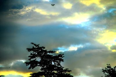 Low angle view of silhouette tree against sky during sunset