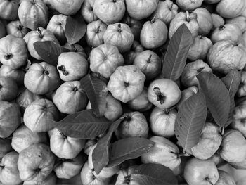 Full frame shot of fruits for sale in market