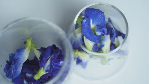 High angle view of purple flowers in glass bowl on table