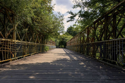 Surface level of footbridge along trees