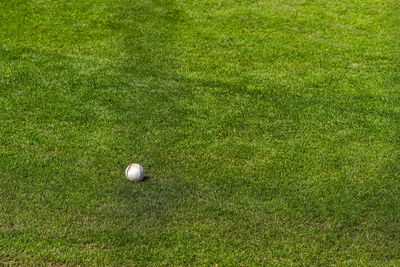 High angle view of golf ball on field