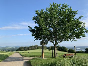 Trees on field against sky