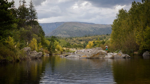 Scenic view of lake by trees against sky