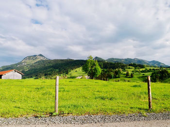 Scenic view of field against sky