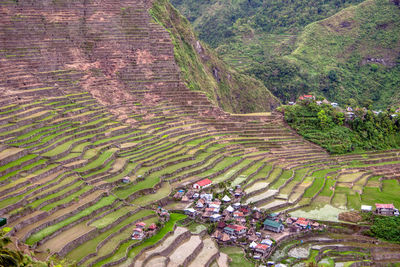 High angle view of agricultural field