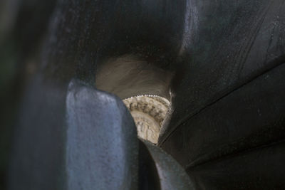 Close-up of statue against water