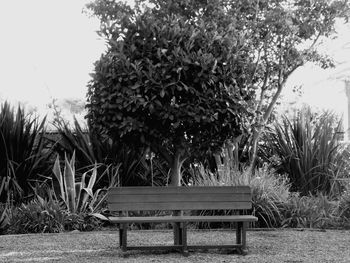 Empty seats in park