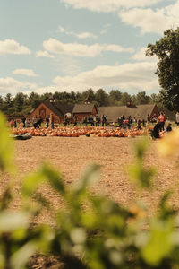 People on field by houses against sky