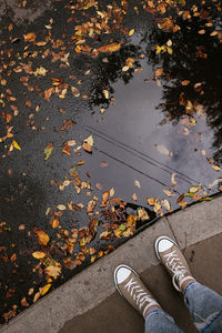 Low section of person standing on maple leaves during autumn