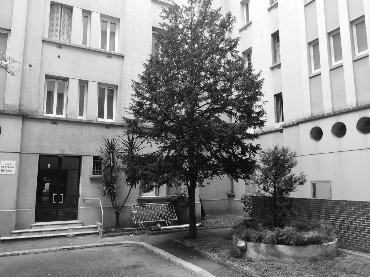 TREES BY RESIDENTIAL BUILDING