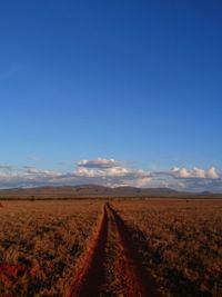 Scenic view of landscape against blue sky