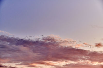 Low angle view of sky during sunset