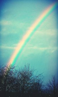 Rainbow over trees against blue sky