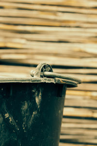 Close-up of insect on wood