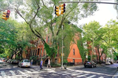 Road by trees and buildings in city