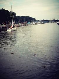 Boats in harbor