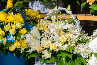 Close-up of flowers