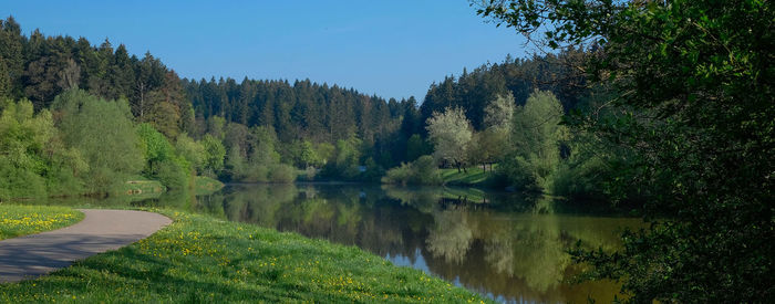 Scenic view of lake by trees in forest against sky