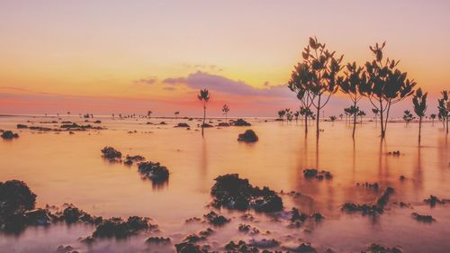 Scenic view of sea against sky at sunset