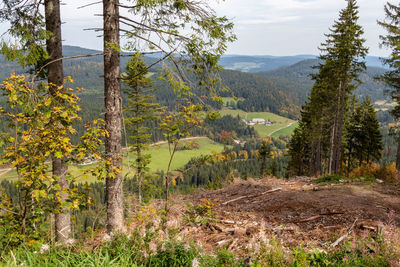 Scenic view at landscape nearby the mountain feldberg, black forest in autumn