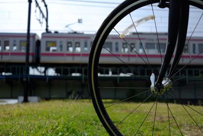 View of train