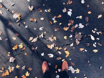 Low section of person standing on road during autumn