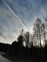 Trees on landscape against cloudy sky