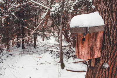 Snow covered tree trunk during winter