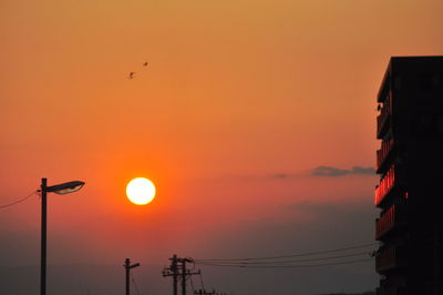 Silhouette birds flying against orange sky