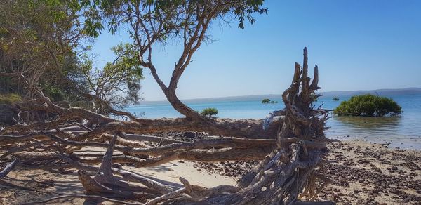 Scenic view of sea against clear sky