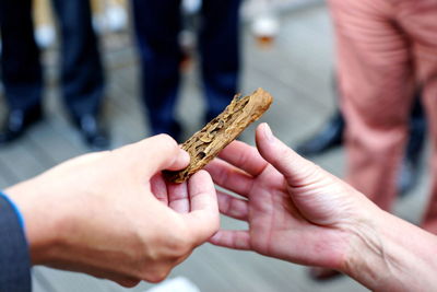 Close-up of hand holding cigarette