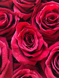 Full frame shot of red rose bouquet