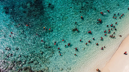 High angle view of people on beach