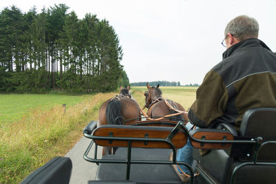 Rear view of man sitting on horse carriage