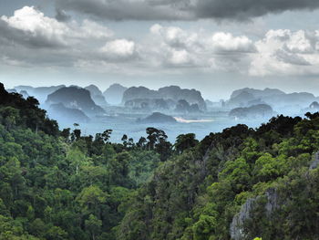 Scenic view of trees and mountains against sky