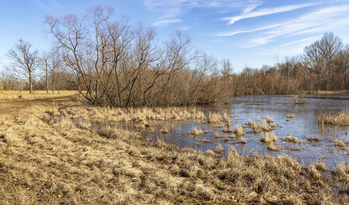 Scenic view of lake against sky