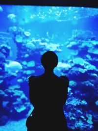 Silhouette of woman in aquarium