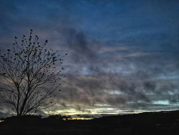 Low angle view of silhouette tree against sky at sunset