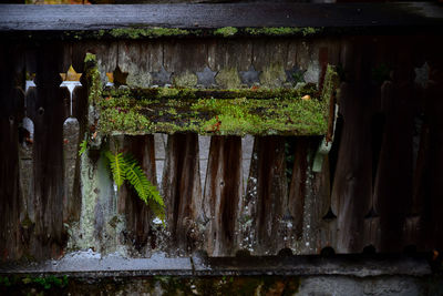 Close-up of old wooden wall by building