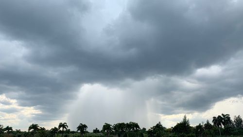 Panoramic view of storm clouds over trees