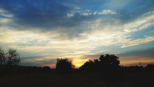 Silhouette trees against sky during sunset