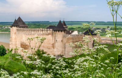 Scenic view of flowering plants and buildings against sky